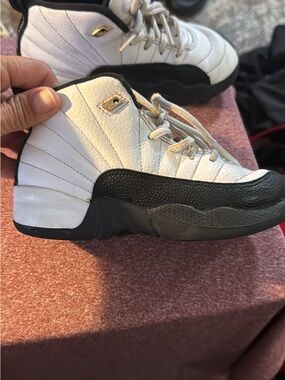 Jordan retro 12